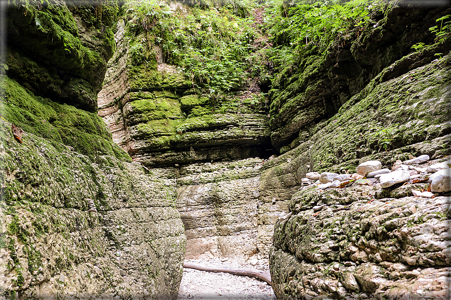 foto Canyon del Buso Vecio